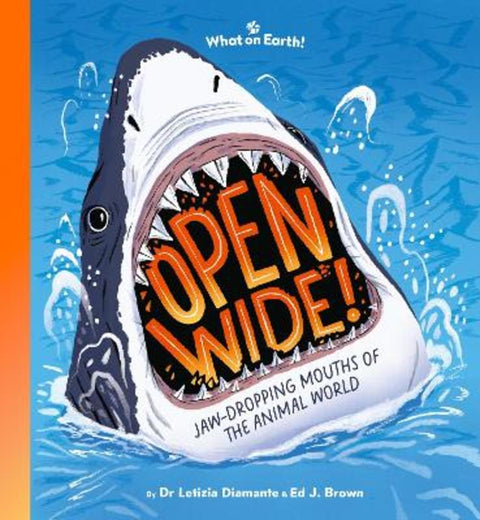 Open Wide! by Letizia Diamante - 9781804661352