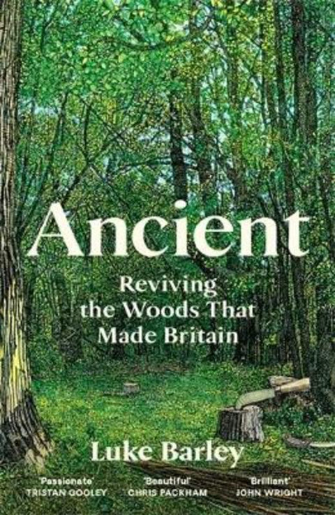 Ancient by Luke Barley - 9781805222231