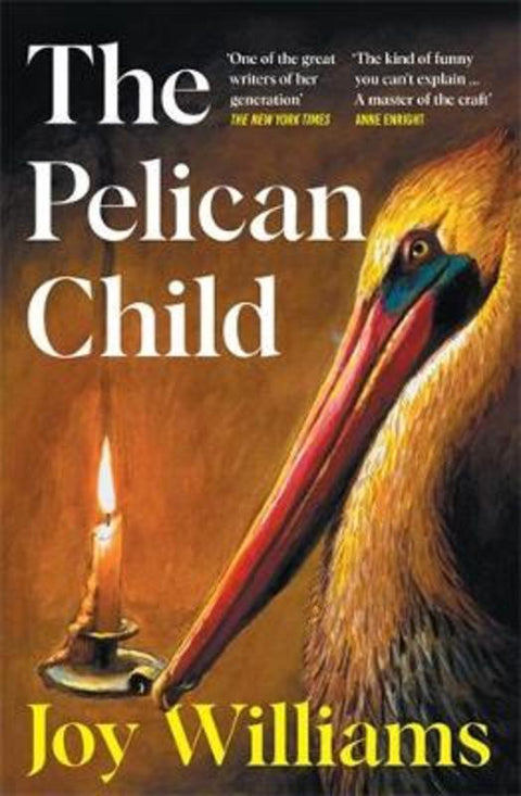The Pelican Child by Joy Williams - 9781805228578