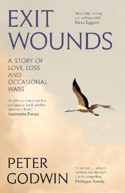 Exit Wounds by Peter Godwin - 9781805303336