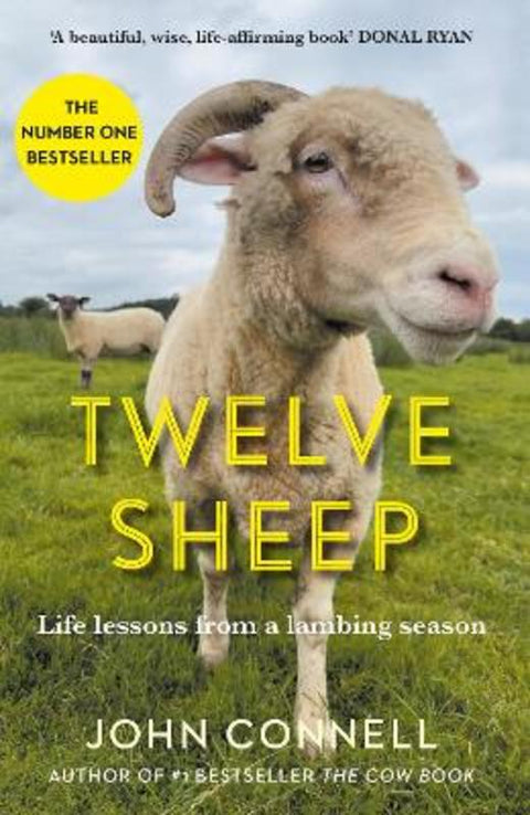 Twelve Sheep by John Connell - 9781805461906