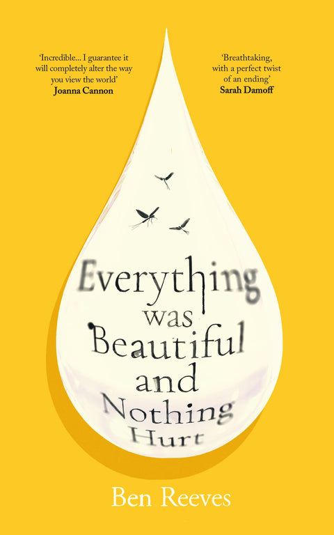 Everything was Beautiful and Nothing Hurt by Ben Reeves - 9781805465805