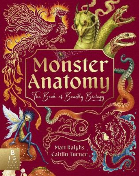Monster Anatomy by Matt Ralphs - 9781835870860