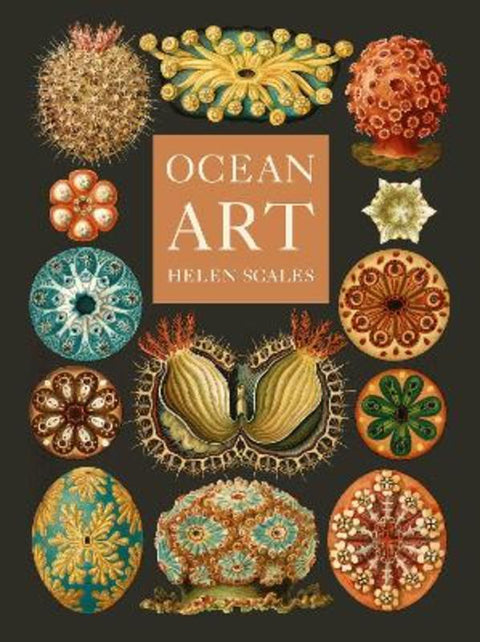 Ocean Art by Helen Scales - 9781836390985