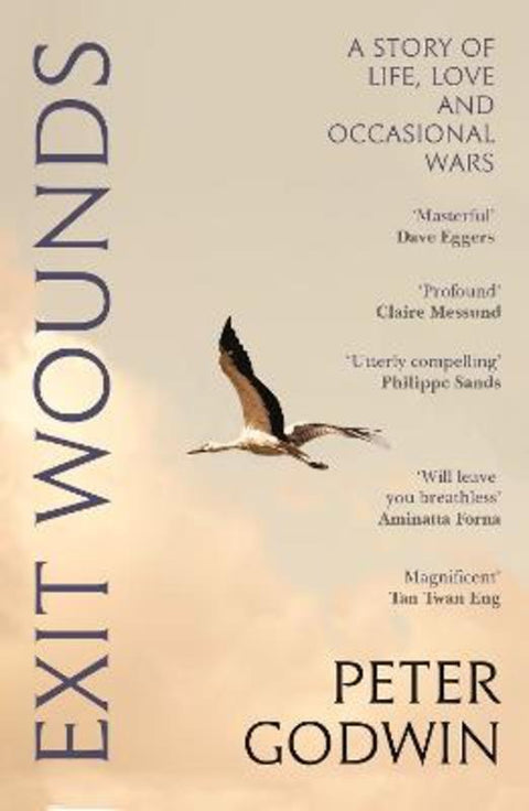 Exit Wounds by Peter Godwin - 9781837260829