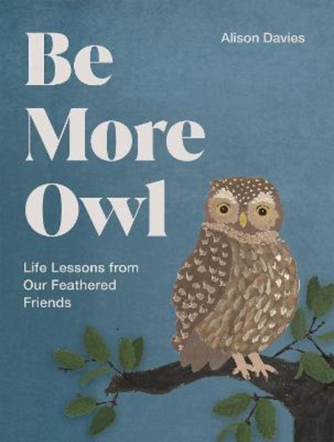 Be More Owl by Alison Davies - 9781837834068