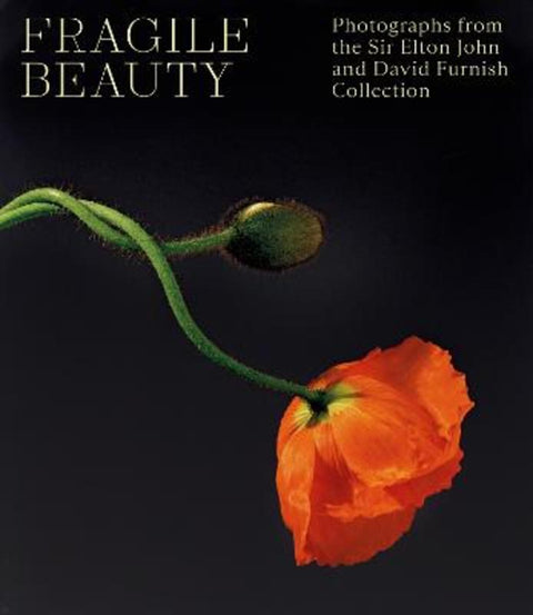 Fragile Beauty by Duncan Forbes - 9781838510466