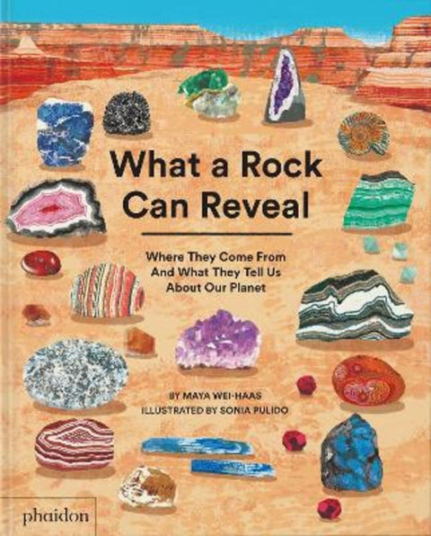 What a Rock Can Reveal from Maya Wei-Haas - Harry Hartog gift idea