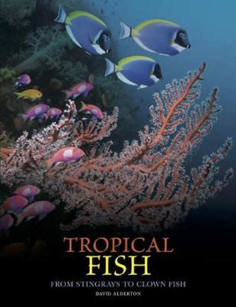Tropical Fish by David Alderton - 9781838865511