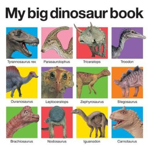 My Big Dinosaur Book by Roger Priddy - 9781838997014