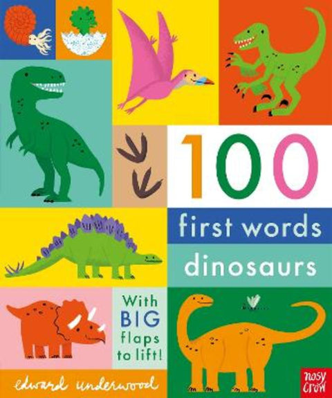 100 First Words: Dinosaurs by Edward Underwood - 9781839948206
