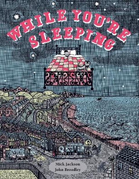 While You're Sleeping by Mick Jackson - 9781843655411