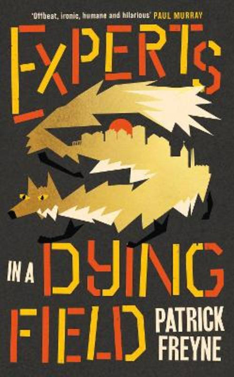 Experts in a Dying Field by Patrick Freyne - 9781844886999