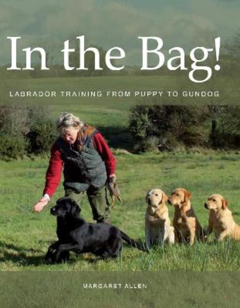 In the Bag! by Margaret Allen - 9781847974815