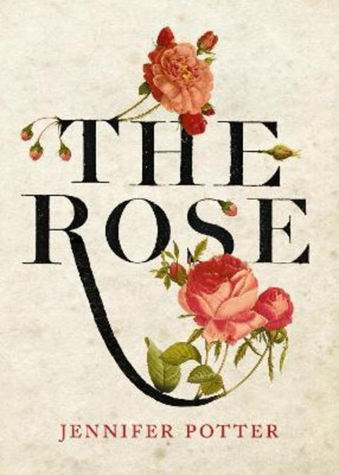 The Rose by Jennifer Potter - 9781848878341