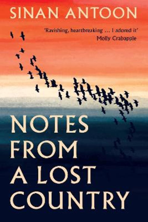 Notes from a Lost Country by Sinan Antoon - 9781849251235