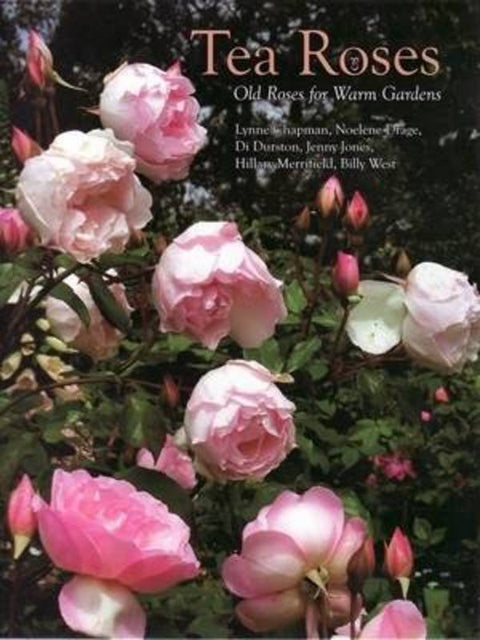 Tea Roses by Lynne Chapman - 9781877058677