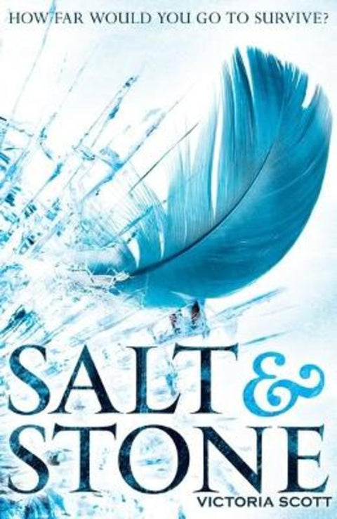 Salt & Stone by Victoria Scott - 9781910002063