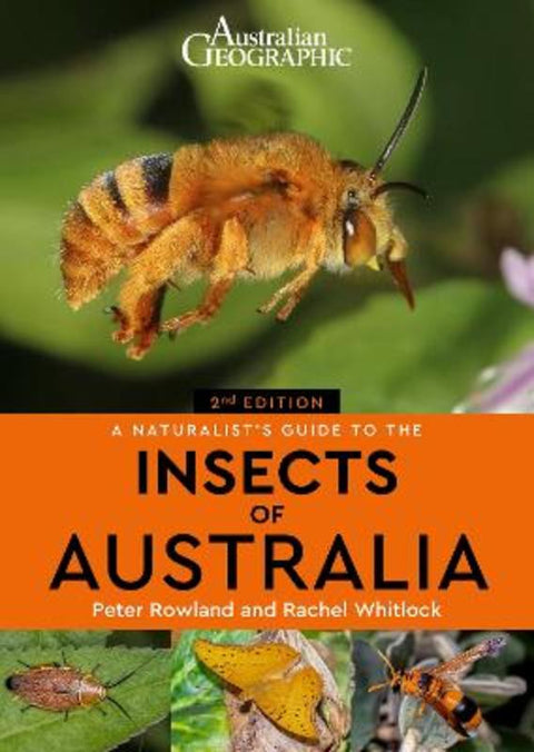 A Naturalist's Guide to the Insects of Australia by Peter Rowland - 9781913679262