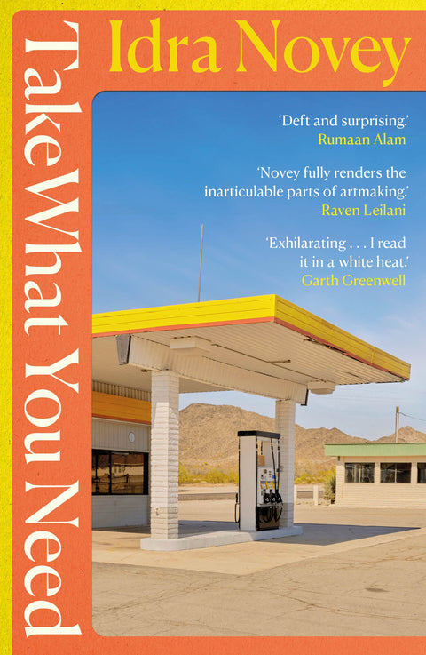 Take What You Need by Idra Novey - 9781914198649