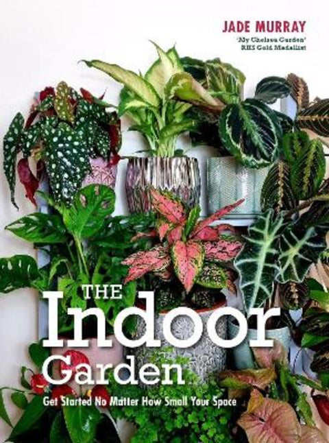 The Indoor Garden from Jade Murray - Harry Hartog gift idea