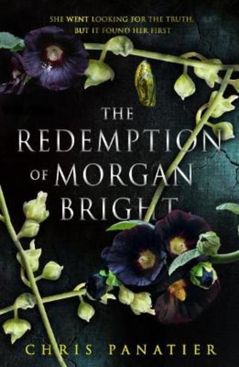 The Redemption of Morgan Bright by Chris Panatier - 9781915202895