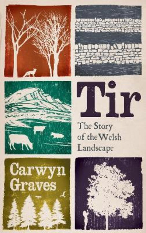 Tir by Carwyn Graves - 9781915279675