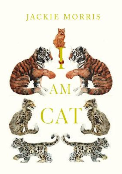 I am Cat by Jackie Morris - 9781915659415