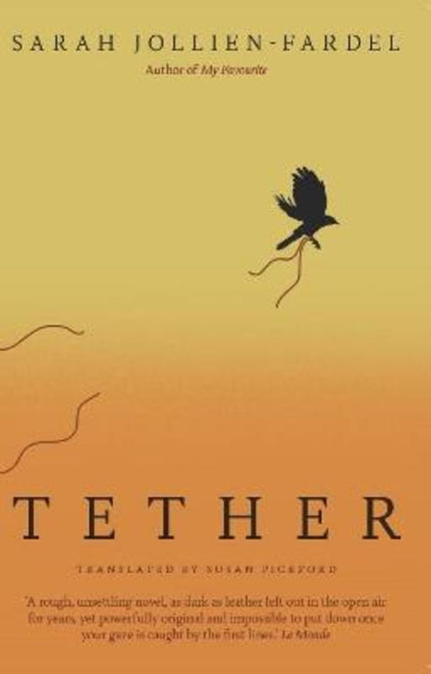 Tether by Sarah Jollien-Fardel (Author) - 9781917378307
