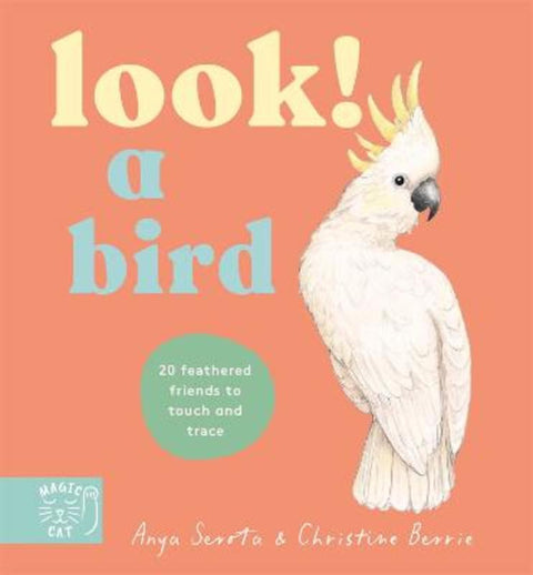 Look! A Bird! by Anya Serota - 9781917768825