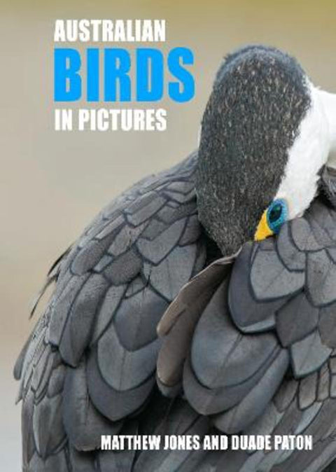 Australian Birds in Pictures by Mathew Jones - 9781921073175