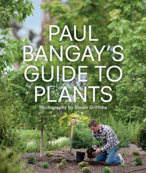 Paul Bangay's Guide to Plants by Paul Bangay - 9781921382512