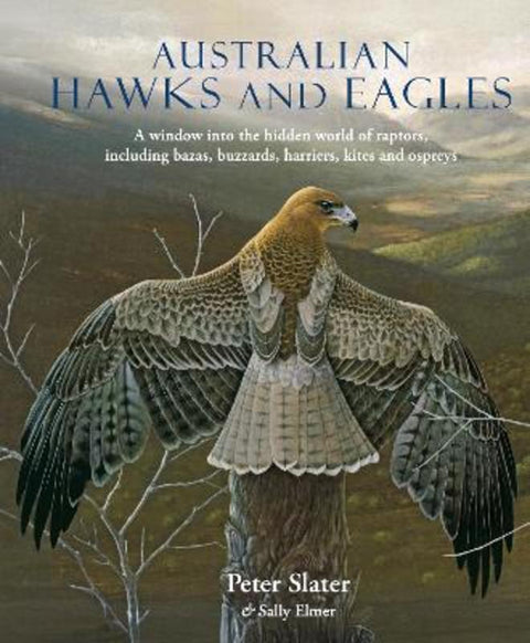 Australian Hawks and Eagles by Peter Slater - 9781921517983