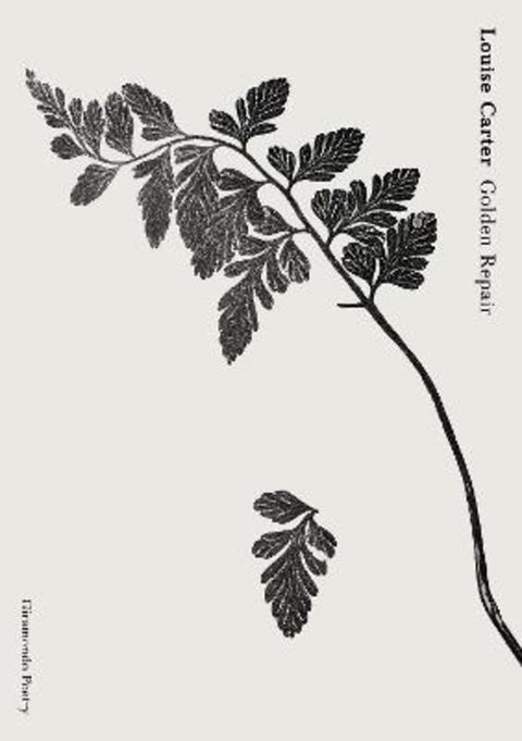 Golden Repair by Louise Carter - 9781922725479