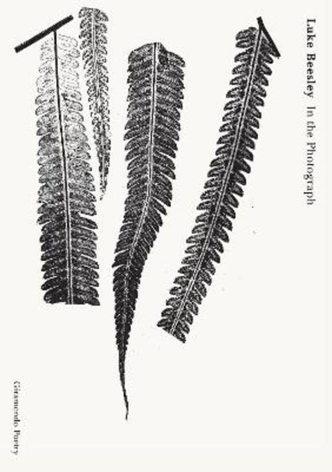 In the Photograph by Luke Beesley - 9781922725752