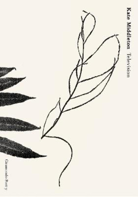 Television by Kate Middleton - 9781922725790