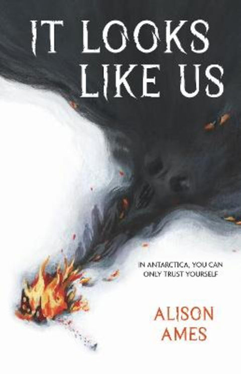 It Looks Like Us by Alison Ames - 9781922806635