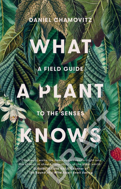 What a Plant Knows: A Field Guide to the Senses (Revised Edition) by Daniel Chamovitz - 9781925322095