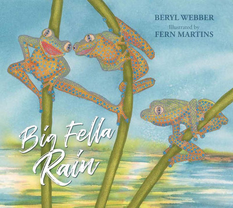 Big Fella Rain by Beryl Webber - 9781925360639