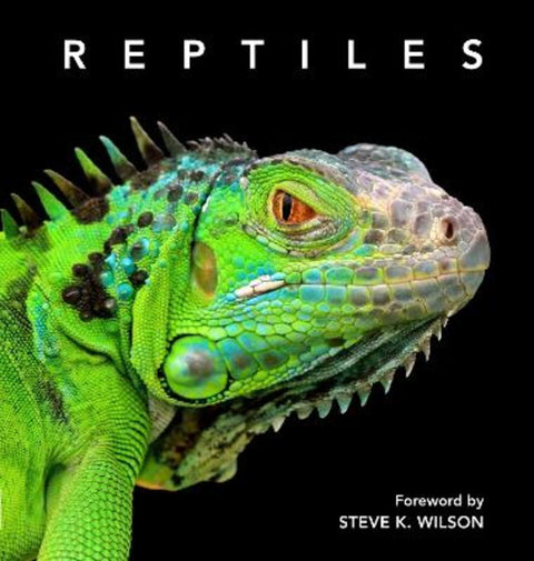 Reptiles by Steve Wilson - 9781925546675