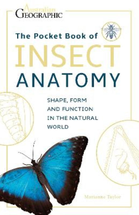 The Pocket Book of Insect Anatomy by Marianne Taylor - 9781925847796