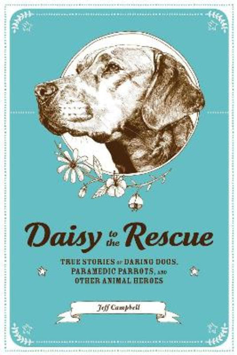 Daisy to the Rescue by Jeff Campbell - 9781936976621