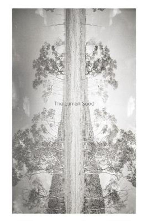 The Lumen Seed by Judith Crispin - 9781942084242