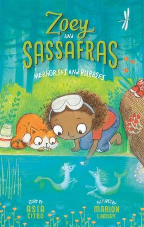 Merhorses and Bubbles by Asia Citro, MEd - 9781943147199