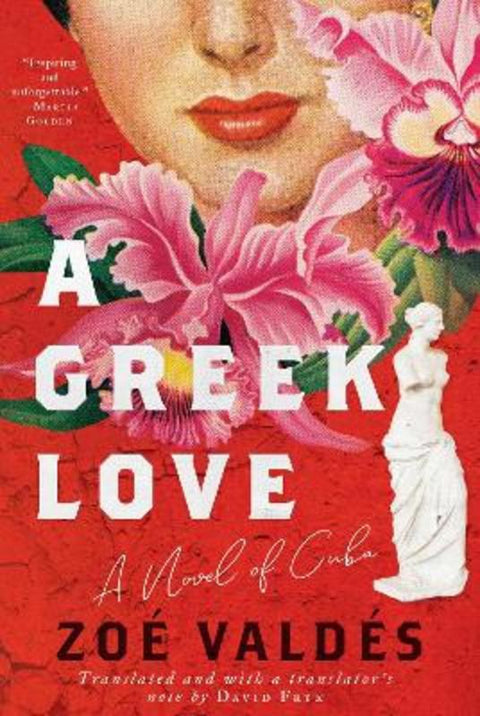 A Greek Love by Zoe Valdes - 9781956763409