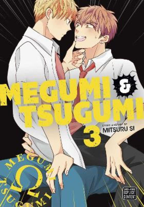 Megumi & Tsugumi, Vol. 3 by Mitsuru Si - 9781974738892