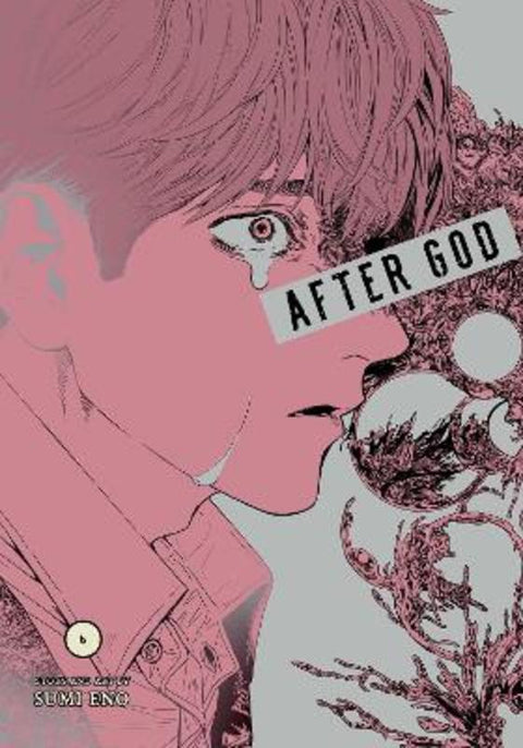 After God, Vol. 6 by Sumi Eno - 9781974758302