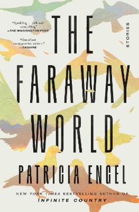 The Faraway World by Patricia Engel - 9781982159535
