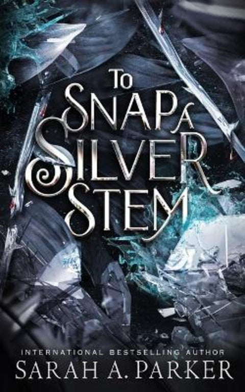 To Snap a Silver Stem by Sarah A Parker - 9798844489952
