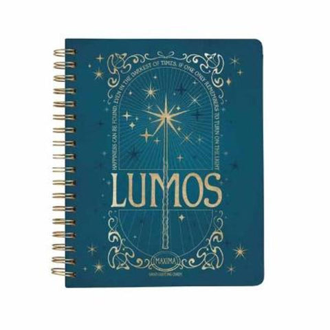 Harry Potter: Spells and Potions 12-Month Undated Planner from Insight Editions - Harry Hartog gift idea